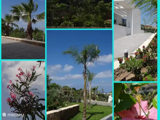 Casa Van Zaal | Espagne, Costa Blanca, Jávea - villa Collage
