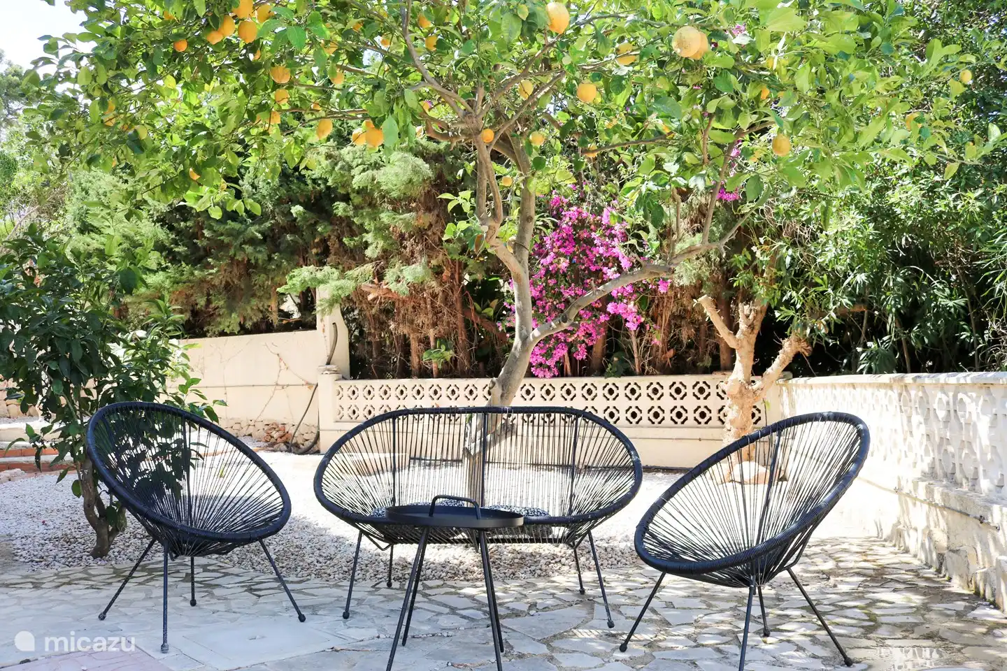 terrasse sur le côté / devant la maison, sous le citronnier