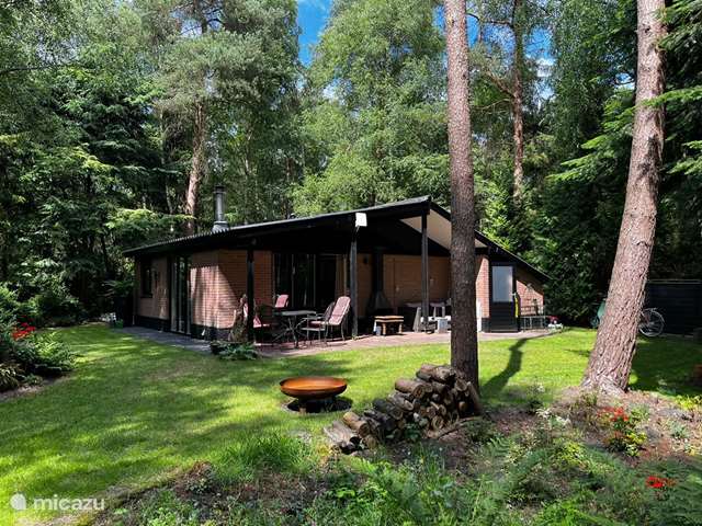 Holiday home in Netherlands, Overijssel, Ommen - bungalow The Tawny Owl