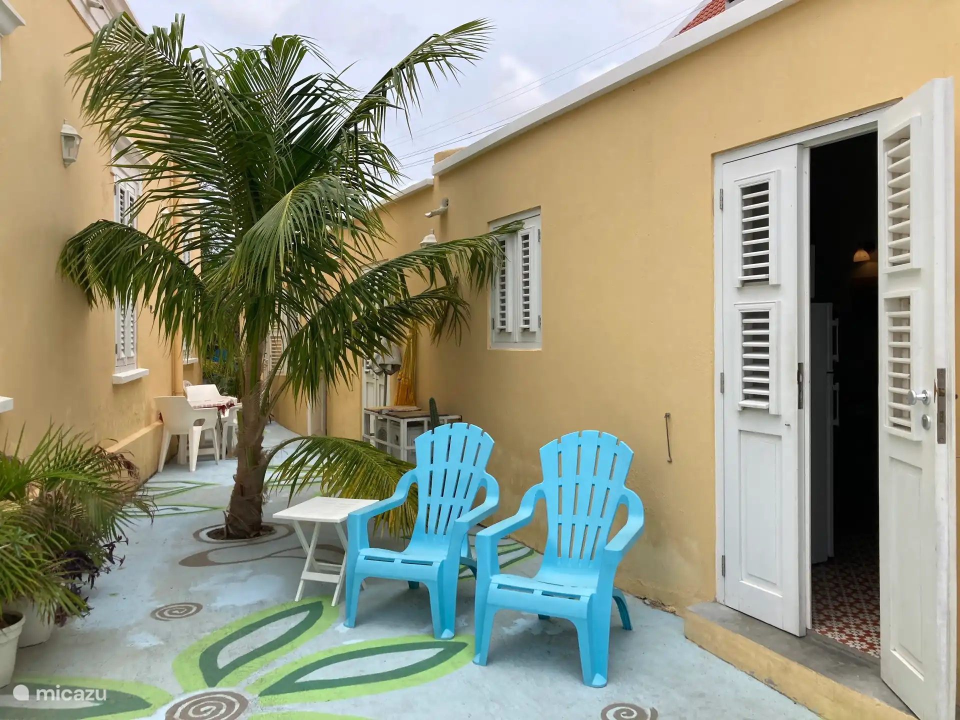 Terras met palmboom, planten en comfortabele stoelen en ingang naar woonkamer/keuken.