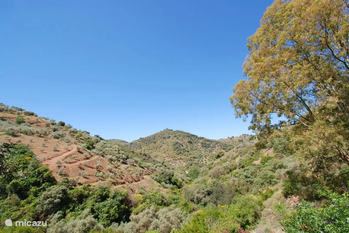 Atemberaubend schöne Natur, wo immer Sie sich umschauen und doch nur wenige Gehminuten von Bars und Restaurants entfernt.