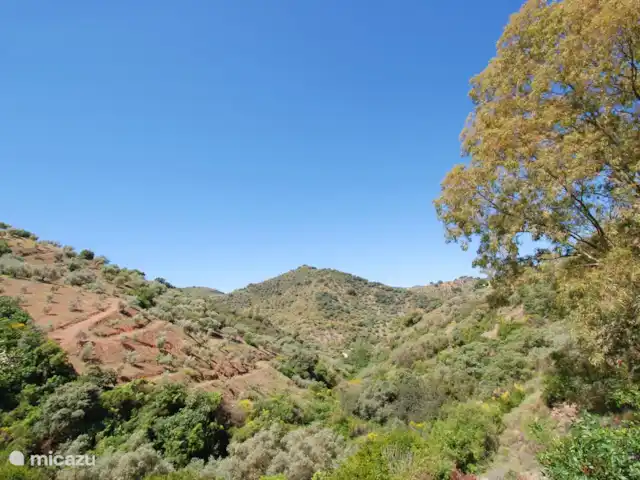 Location de Vacances Espagne, Costa del Sol, Comares, maison de vacances - La Zorzalera Une nature d'une beauté à couper le souffle où que vous regardiez et pourtant à quelques pas des bars et des restaurants.