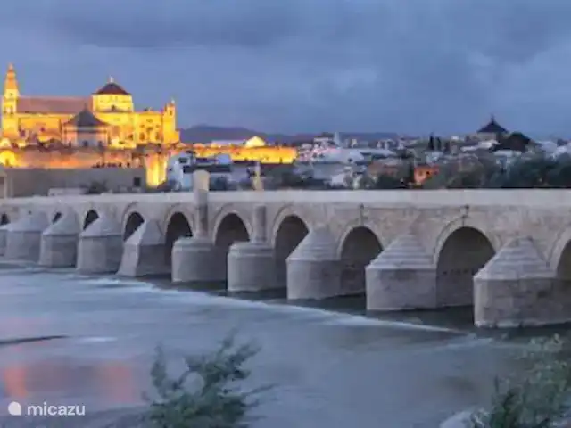 Location de Vacances Espagne, Costa del Sol, Comares, maison de vacances - La Zorzalera Cordoue avec la belle Mezquita.