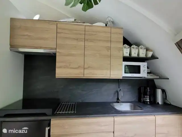 Igloo L'Oasis Verte | Pays-Bas, Brabant-Septentrional, Chaam - bungalow La cuisine est équipée d'un réfrigérateur avec compartiment congélateur, d'un four micro-ondes, d'une cafetière, d'une bouilloire, d'une friteuse et d'un lave-vaisselle (!).