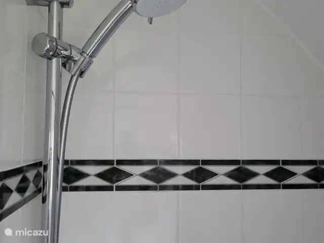 Igloo L'Oasis Verte | Pays-Bas, Brabant-Septentrional, Chaam - bungalow Belle douche !