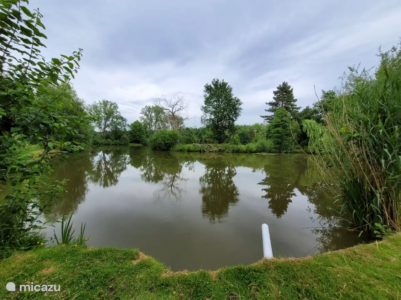 Schöner, großer Fischteich im Park. Angeln ist hier frei erlaubt. Fische müssen zurückgestellt werden