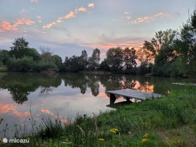 Igloo L'Oasis Verte | Pays-Bas, Brabant-Septentrional, Chaam - bungalow Beau et grand étang à poissons dans le parc. Vous pouvez pêcher ici sans permis. Les poissons doivent être relâchés.