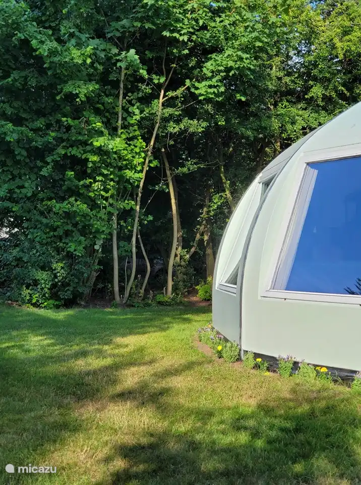 Es gibt niedliche Pflanzen um die Zwiebel herum, was ihr in der ohnehin schon grünen Umgebung viel Atmosphäre verleiht.