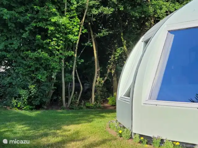 Igloo L'Oasis Verte | Pays-Bas, Brabant-Septentrional, Chaam - bungalow Il y a de jolies plantes autour du bulbe, ce qui lui donne beaucoup d'ambiance dans l'environnement déjà vert.