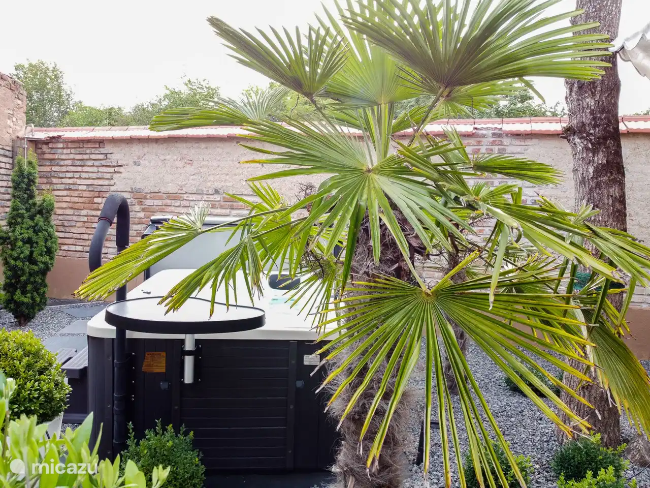 Le jacuzzi avec jardin paysager tropical.