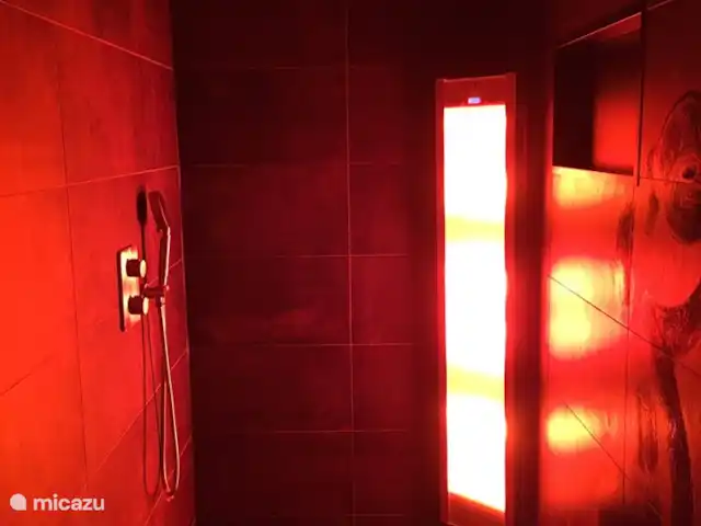 Borgervilla | Pays-Bas, Drenthe, Exloo - maison de vacances Nouvelle salle de bain attenante avec douche solaire
