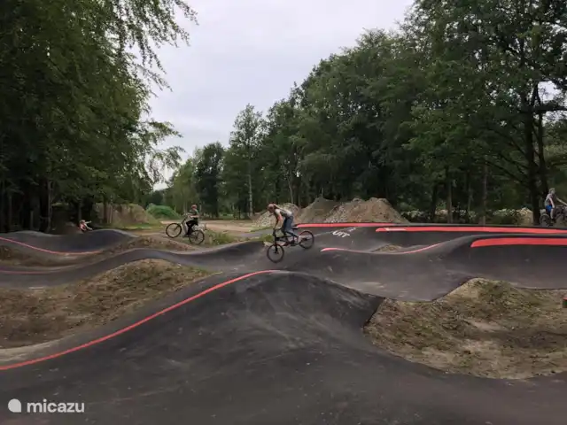 Borgervilla | Pays-Bas, Drenthe, Exloo - maison de vacances Piste de pumptrack, amusante pour le vélo, la trottinette et la planche à roulettes.