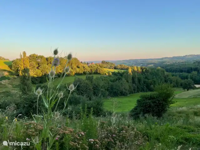 Location de Vacances France, Corrèze, Perpezac-le-Blanc, gîte / cottage - Domaine Leyvinie, Gîte Sauvignon Domaine Leyvinie, la vue