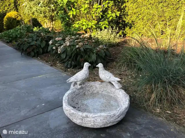Dans l'hippocampe | Pays-Bas, Gueldre, Voorthuizen - chalet plusieurs oiseaux