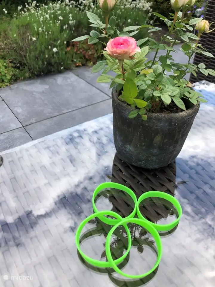 4 bandjes om gratis in het zwembad te kunnen komen