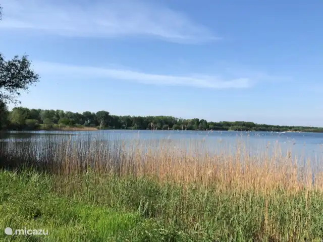 Dans l'hippocampe | Pays-Bas, Gueldre, Voorthuizen - chalet parc de loisirs Zeumeren