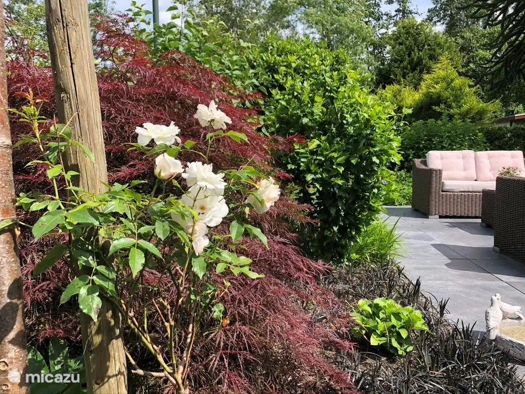 een fijne afgesloten tuin