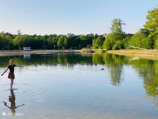 Superhost : Magnifique chalet dans la Veluwe | Pays-Bas, Gueldre, Otterlo - chalet Lac de baignade dans le parc