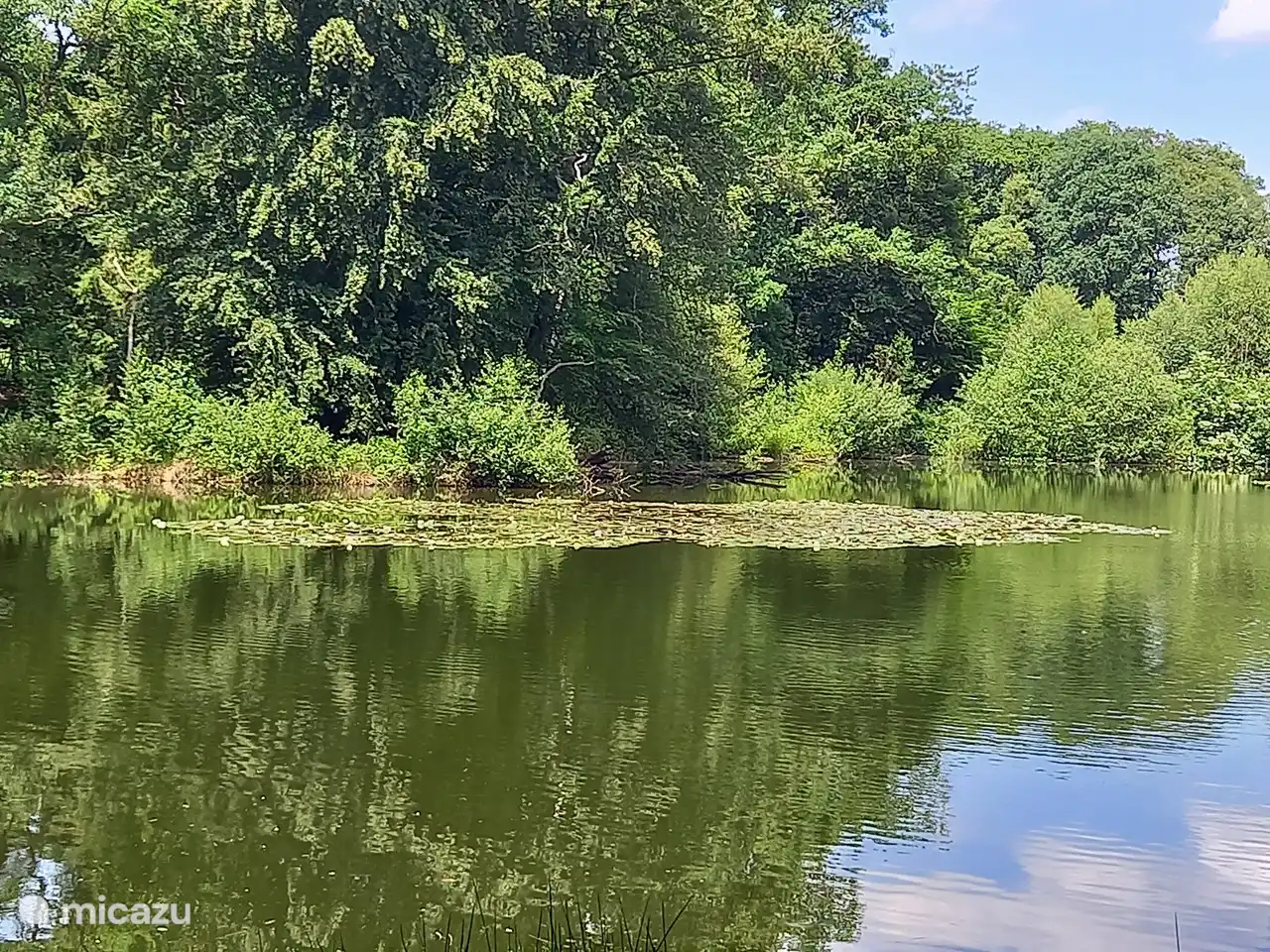 Das Naturschutzgebiet Springendal liegt direkt neben dem Campingplatz