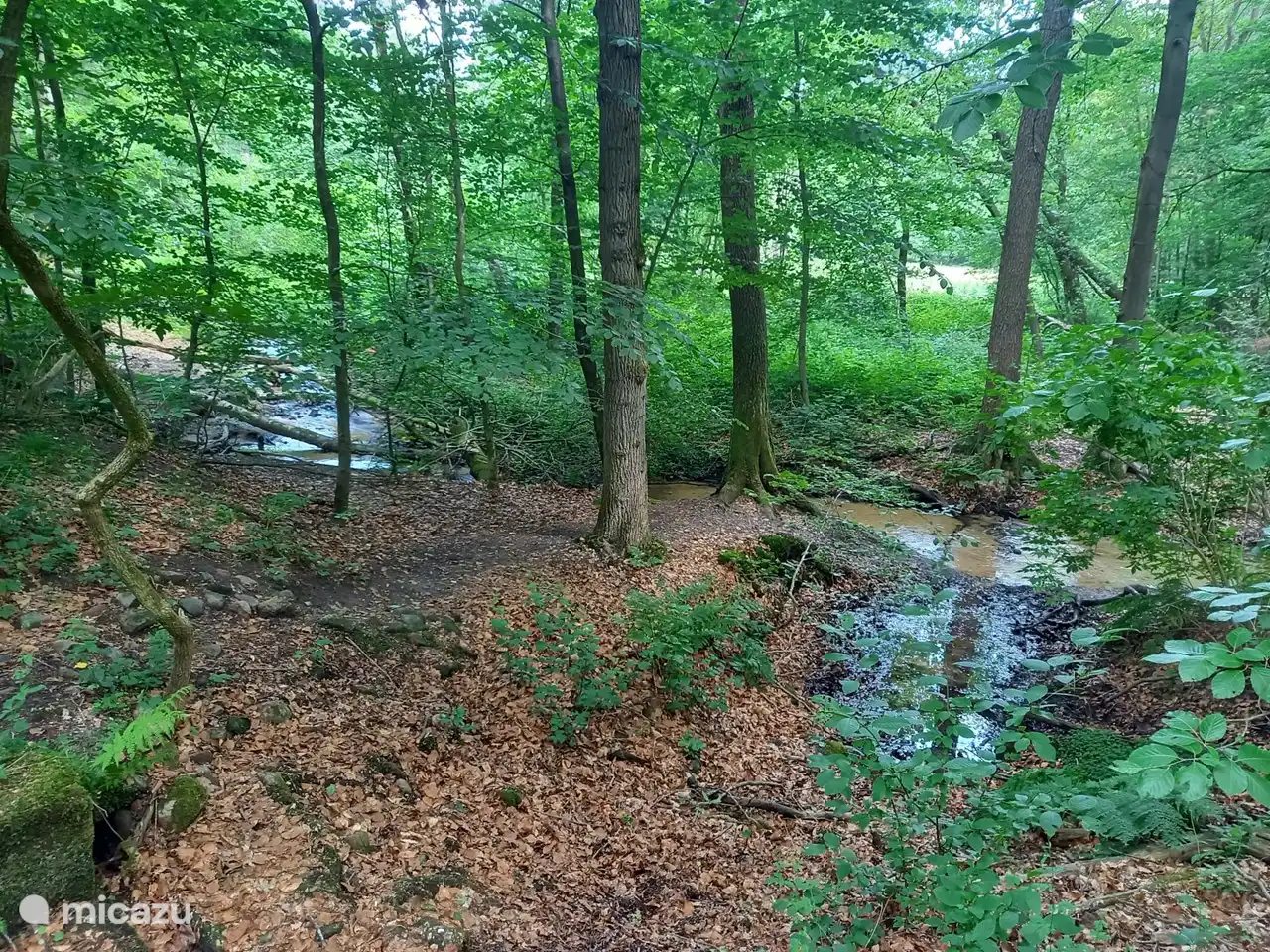 Besonders schöne Natur