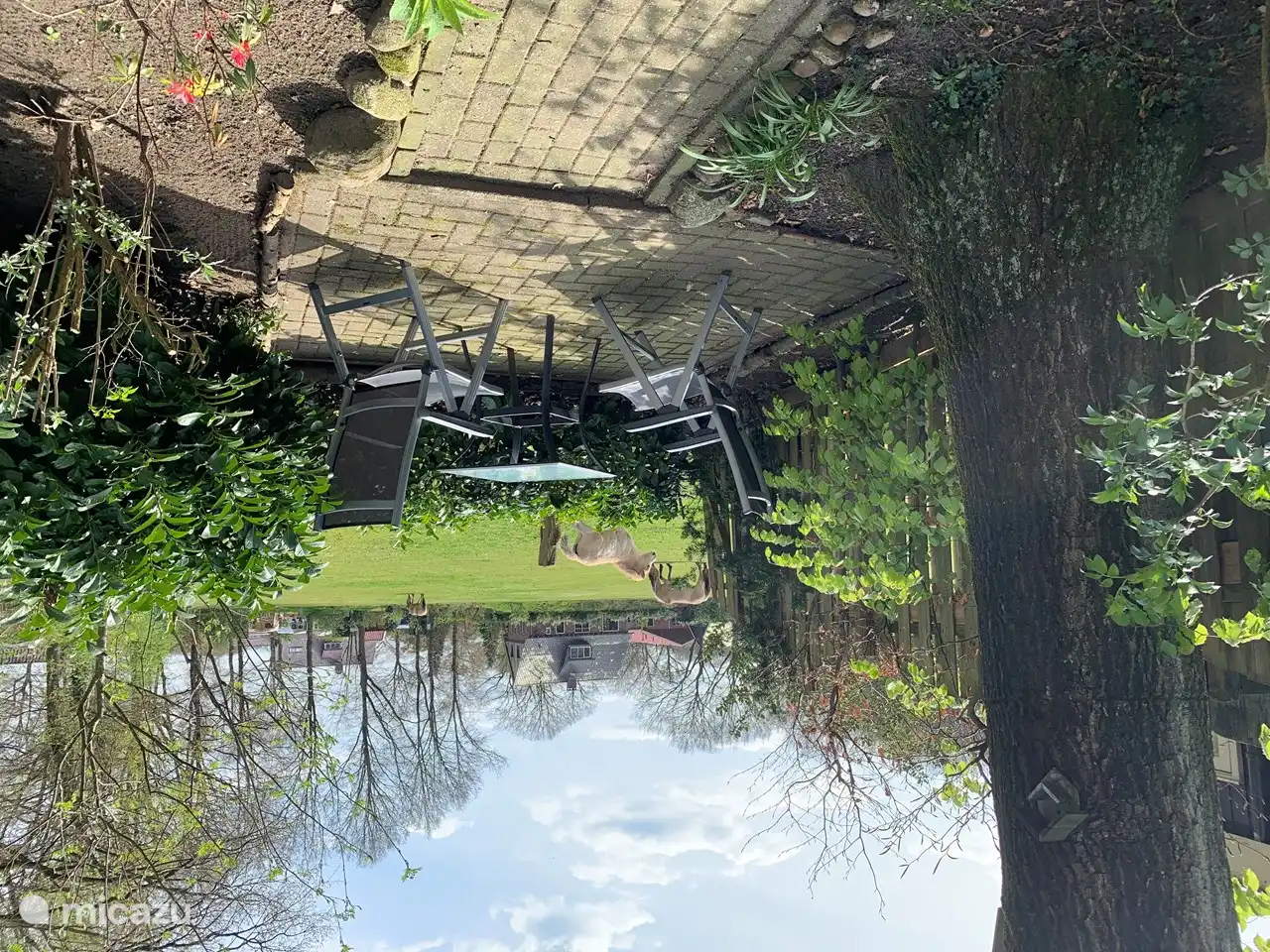 Hugo in Niederlande, Overijssel, Ootmarsum - Chalet