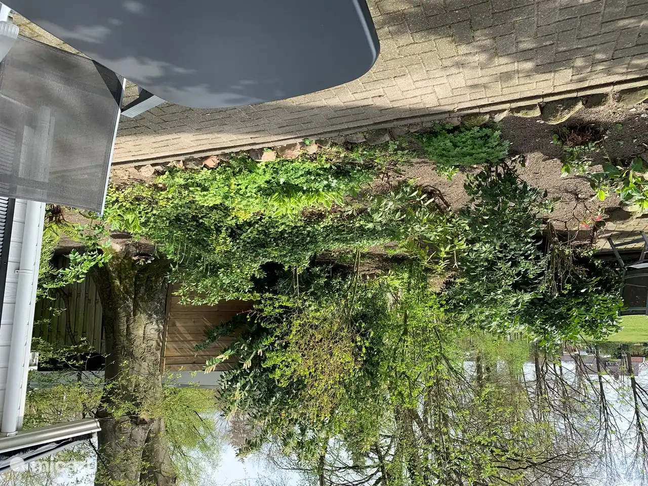 Hugo in Niederlande, Overijssel, Ootmarsum - Chalet