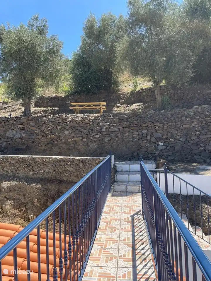 Schöner Ort unter den Olivenbäumen