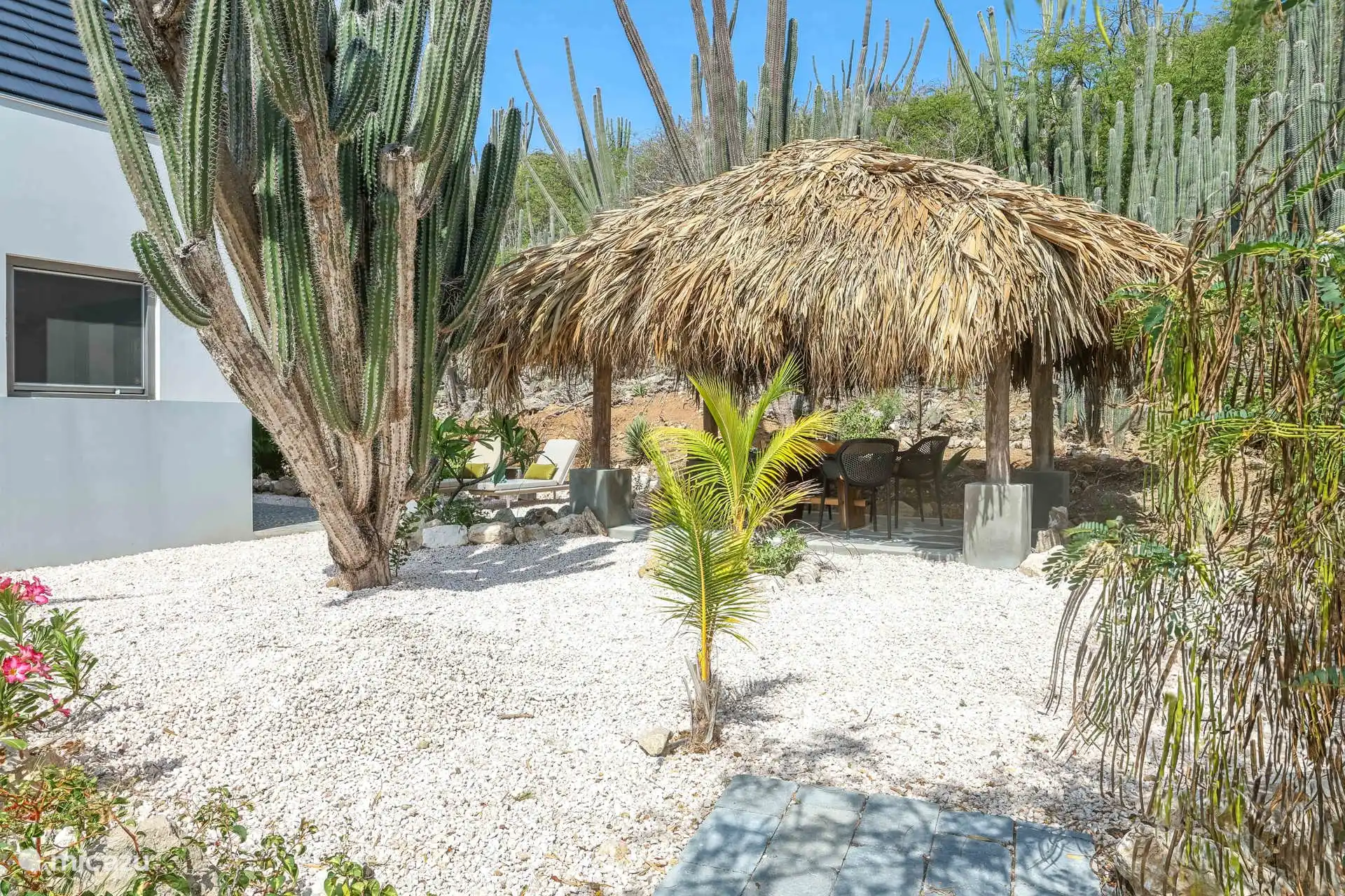 Kühlende Palapa mit stimmungsvoller Beleuchtung und herrlicher Aussicht