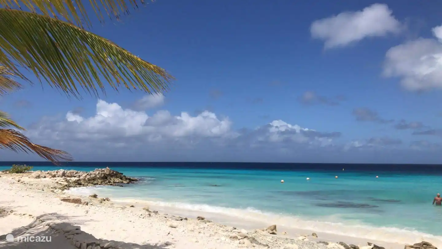 Wunderschöne Strände und viele Schnorchel- / Tauchplätze.