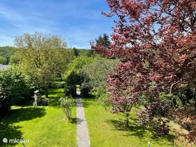 Villa Hotton - Belgische Ardennen huren in België, Ardennen, Hotton - villa achtertuin
