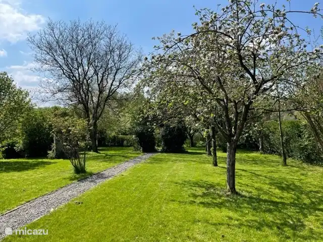Villa Hotton - Belgische Ardennen huren in België, Ardennen, Hotton - villa boomgaard