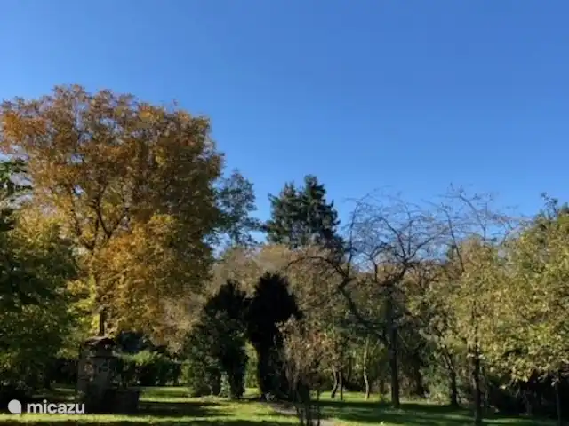 Villa Hotton - Belgische Ardennen huren in België, Ardennen, Hotton - villa achtertuin
