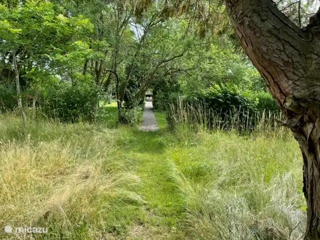 jardín de mariposas