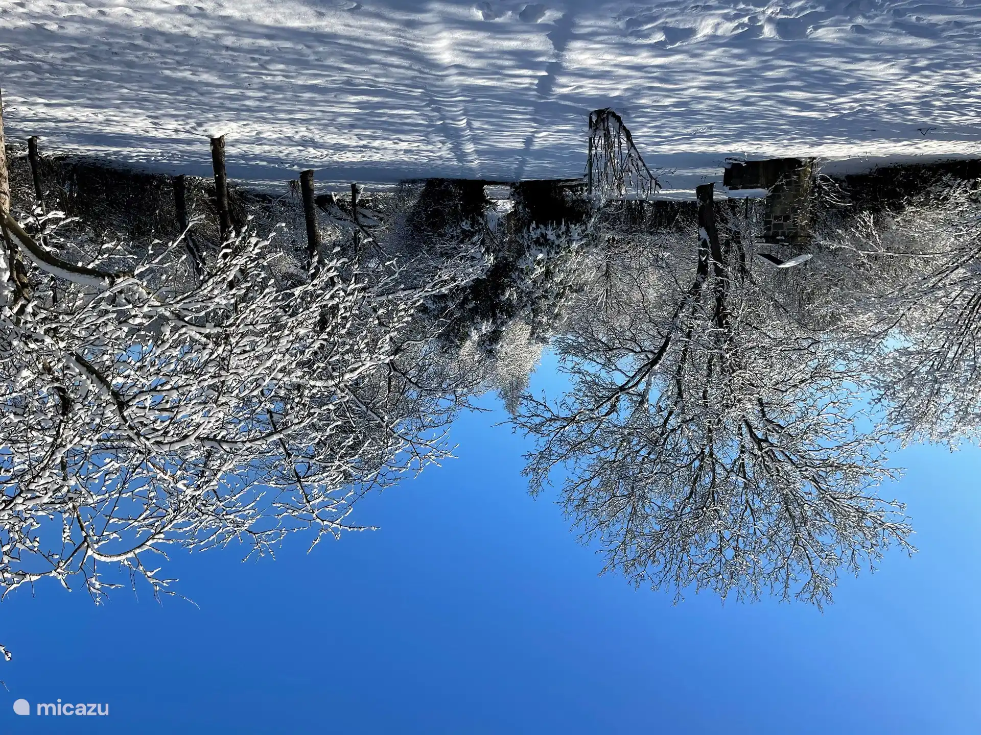 Invierno en el jardín