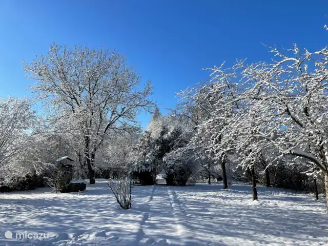 Villa Hotton - Belgische Ardennen huren in België, Ardennen, Hotton - villa Tuin winter