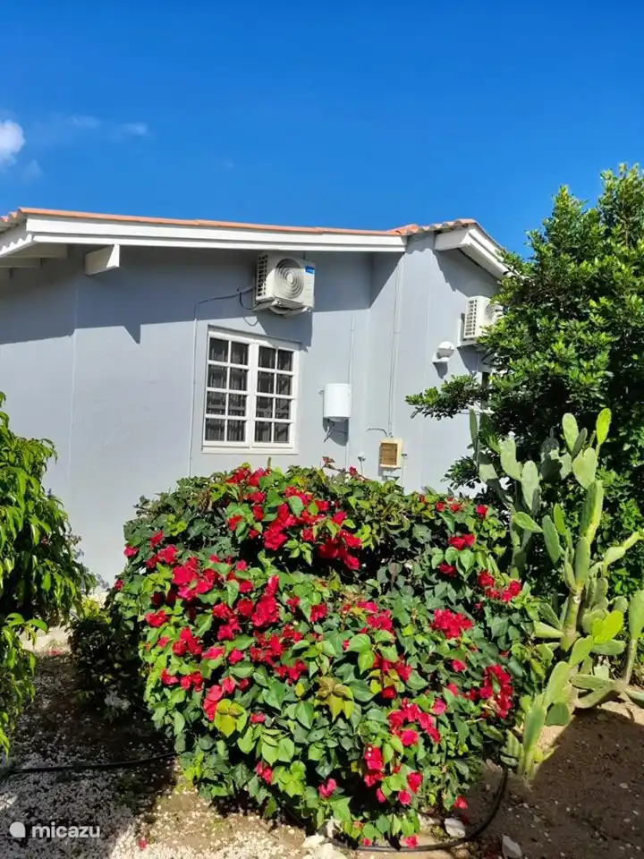 Bungalow con vista lateral