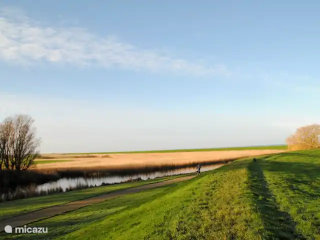 Polle de Beppe en Países Bajos, Frise, Molkwerum - casa vacacional