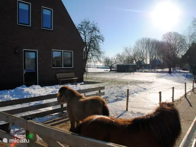 Polle de Beppe en Países Bajos, Frise, Molkwerum - casa vacacional