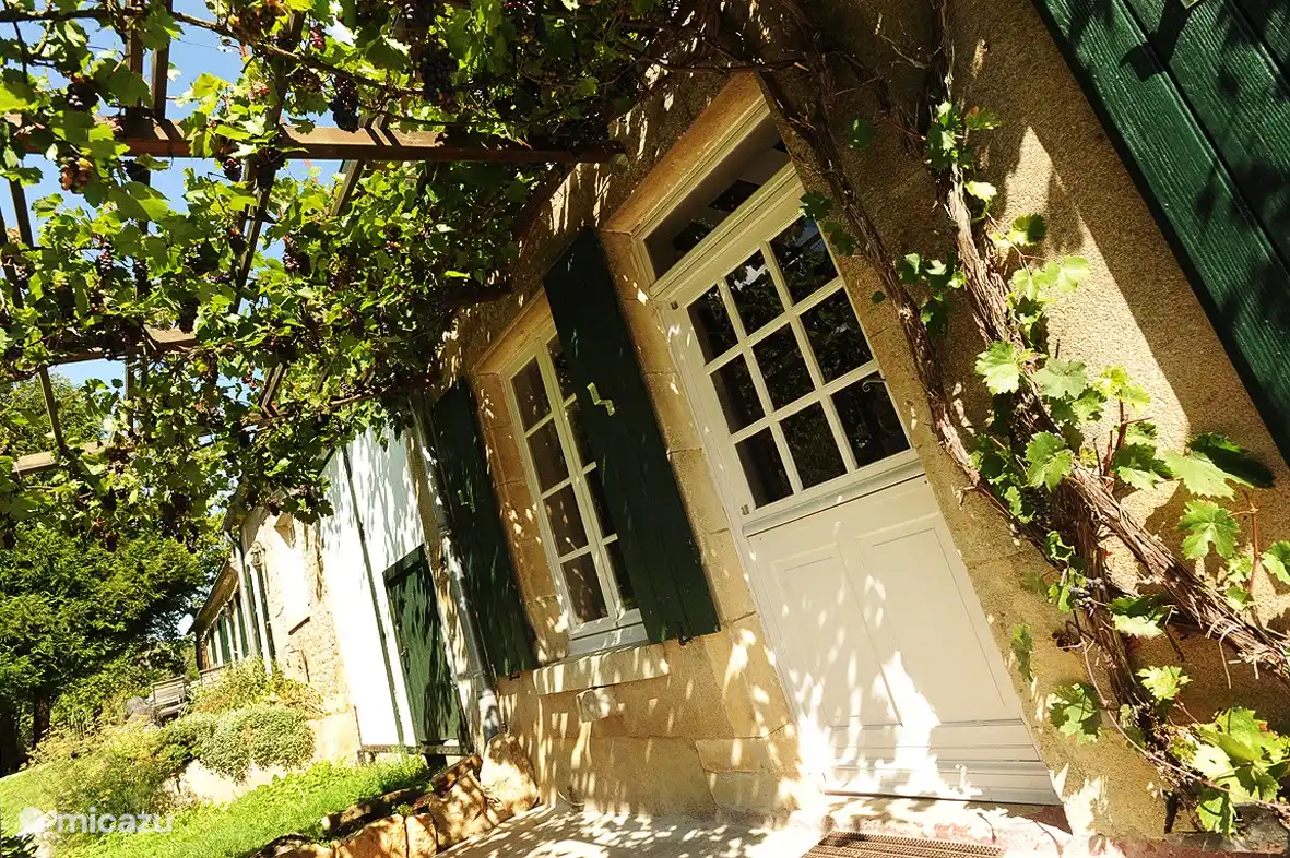 Die Weinreben über der Haustür