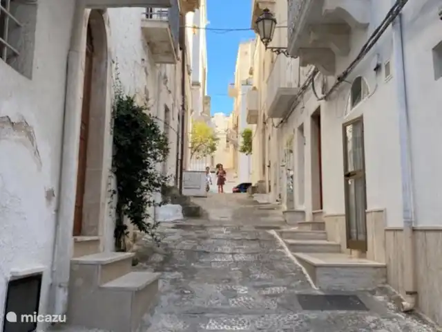 House the white tulip | Italie, Pouilles (Puglia), Ostuni - maison de ville Notre maison de vacances dans une rue typique d'ostenilacittabianca.