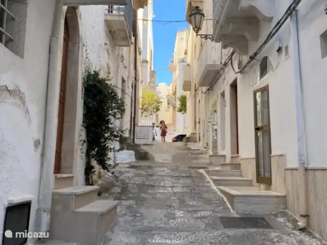 House the white tulip | Italie, Pouilles (Puglia), Ostuni - maison de ville Notre rue typique d'Ostuni dans le centre historique.