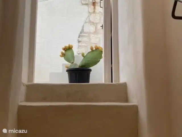House the white tulip | Italie, Pouilles (Puglia), Ostuni - maison de ville Puis un petit escalier et vous atteignez la terrasse sur le toit.