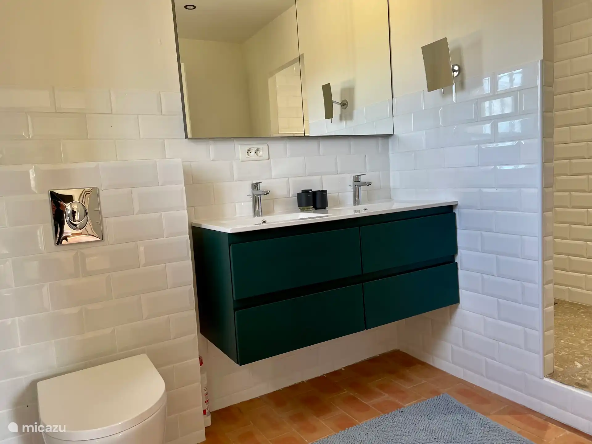 The bathroom in the master bedroom with shower, double sink and toilet