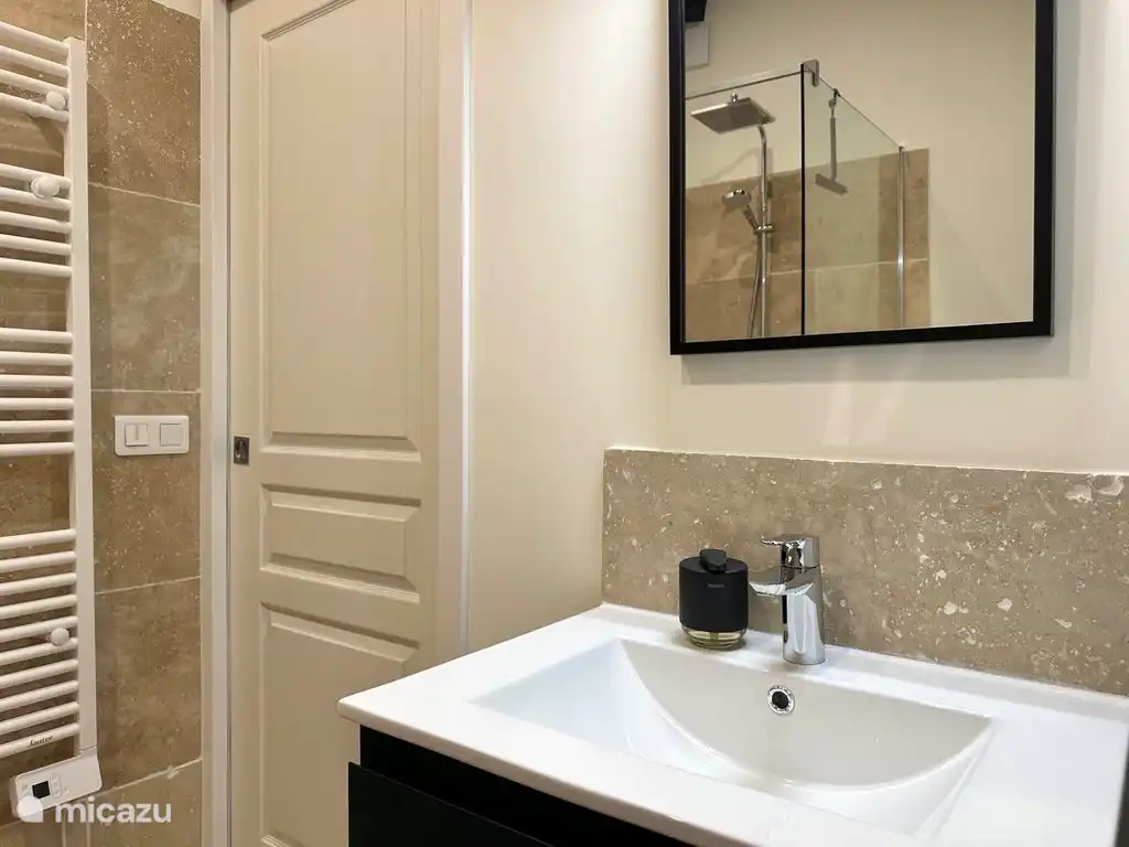 The bathroom of the Gite has a walk-in shower, a sink and a WC