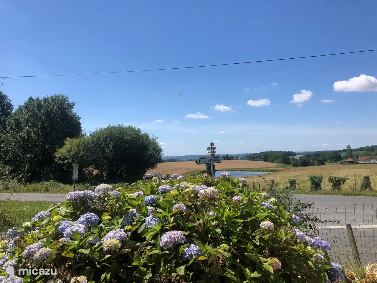 Blick aus dem Garten