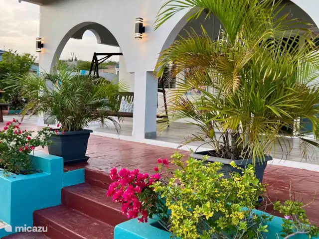 Location de Vacances Aruba, Aruba central, Santa Cruz, maison de vacances - Bonvilla Aruba façade jardin de la maison