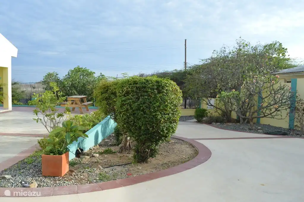 Calzada y aparcamiento para el coche.