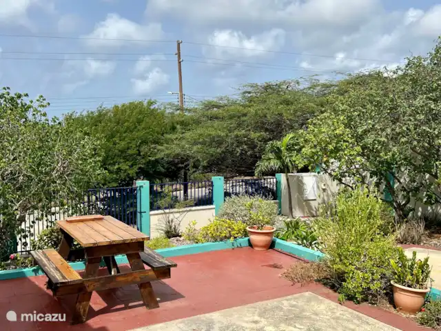 Location de Vacances Aruba, Aruba central, Santa Cruz, maison de vacances - Bonvilla Aruba jardin