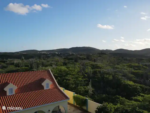 Location de Vacances Aruba, Aruba central, Santa Cruz, maison de vacances - Bonvilla Aruba Derrière la maison les collines de Parke Arikok