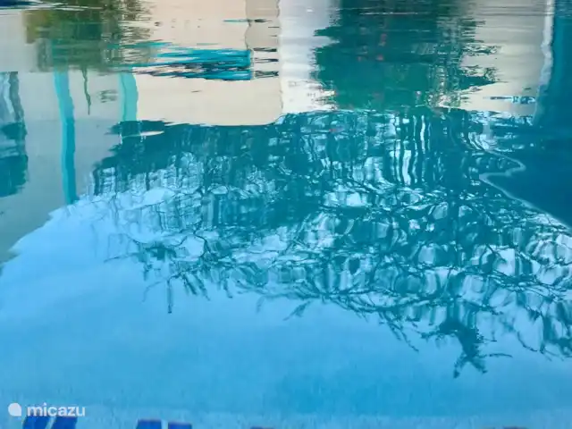 Location de Vacances Aruba, Aruba central, Santa Cruz, maison de vacances - Bonvilla Aruba Espace piscine